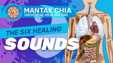 Mantak Chia 6 Healing Sounds (DVD)