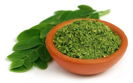 100% Organic Dried Moringa Oleifera Leaf