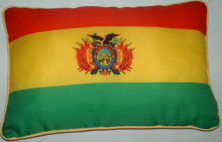BOLIVIA FLAG PILLOWS