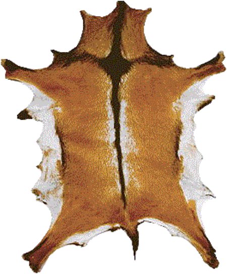 Goat Skin Hide