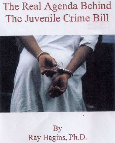 Dr. Ray Hagins "The Real Agenda Behind the Juvenile Crime Bill"