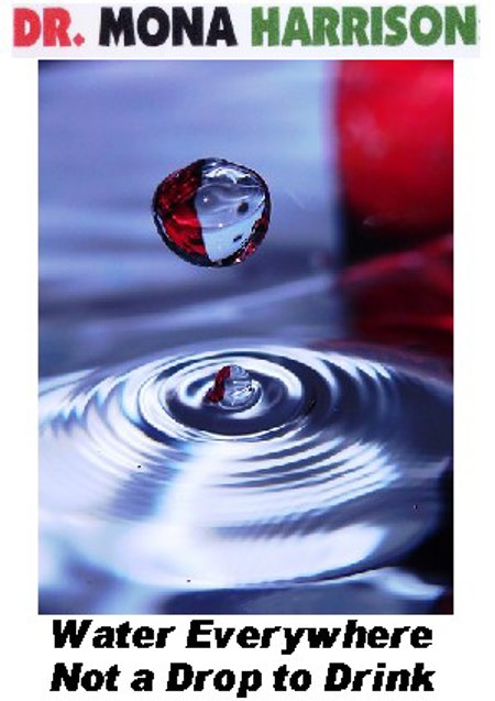 Dr. Mona Harrison: Water Everywhere not a drop to drink