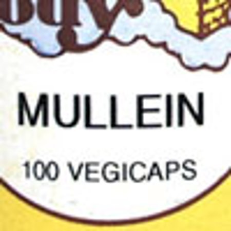MULLEIN
