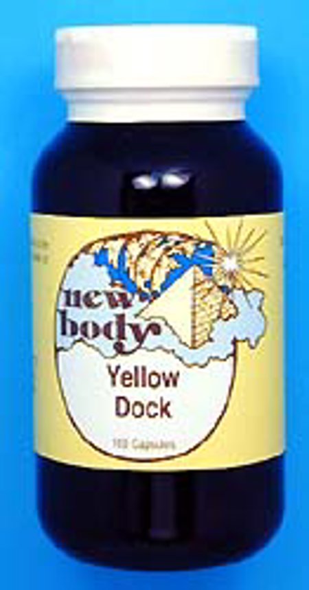 Yellow Dock (Rumex crispus)