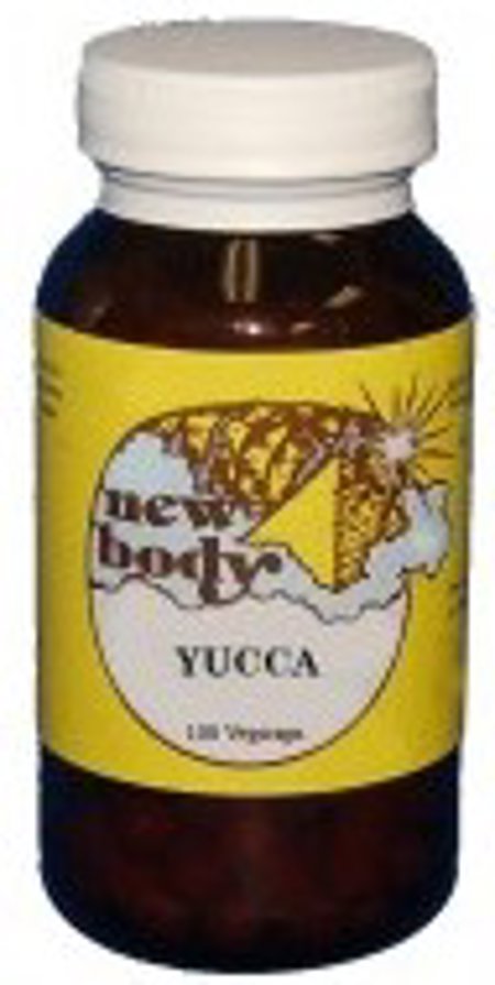 Yucca (Yucca filamentosa)