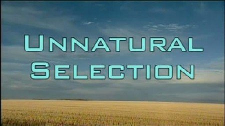 UNNATURAL SELECTION  "Discussion on Genetically Modified Foods"