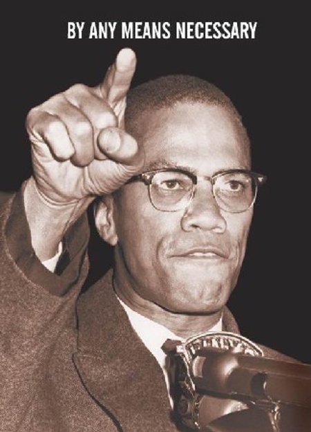 Malcolm X: By Any Means Necessary DVD