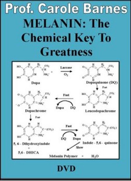 Prof. Carole Barnes: Melanin: The Chemical Key To Greatness DVD