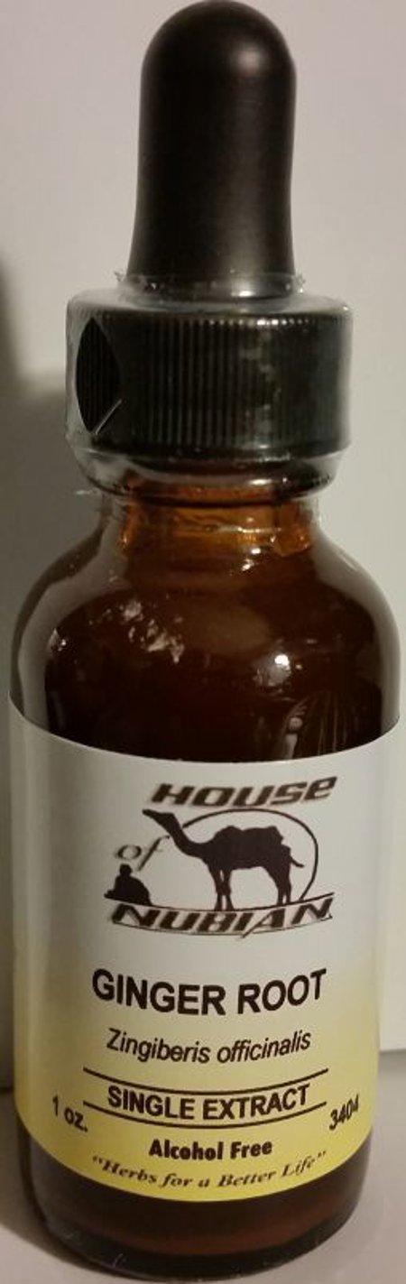 Ginger Root Alcohol Free