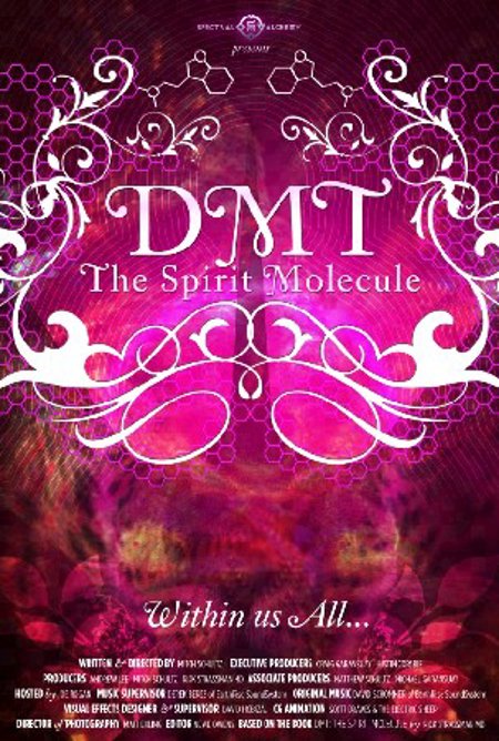 DMT: The Spirit Molecule DVD