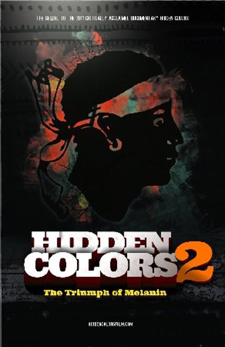 Hidden Colors 2 DVD