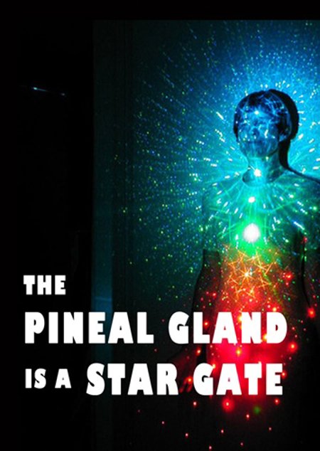 The Pineal Gland is a Stargate - DVD