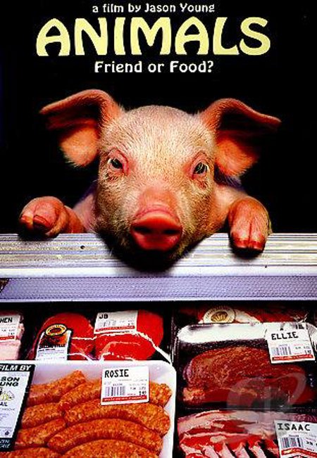 Animals DVD