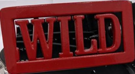 6 Letter Plasti Dipped Name Belt Buckle
