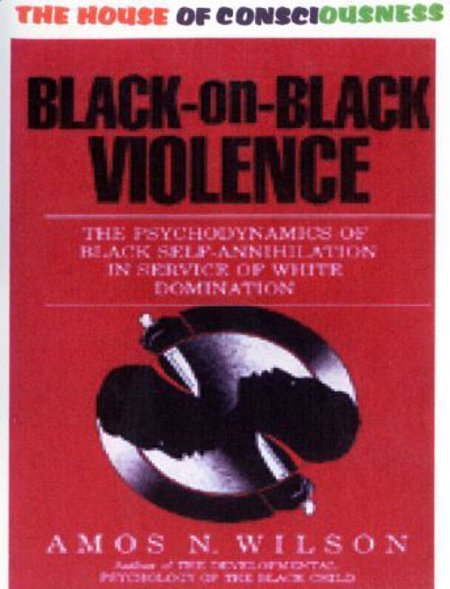 Amos Wilson "Black on Black Violence" Video
