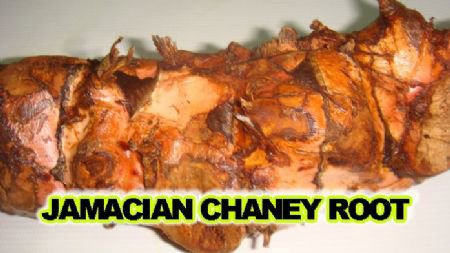 Bulk Chaney Root (Jamaican)