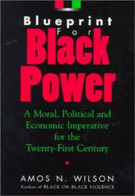 Dr. Amos Wilson ~ Blueprint for Black Power Video