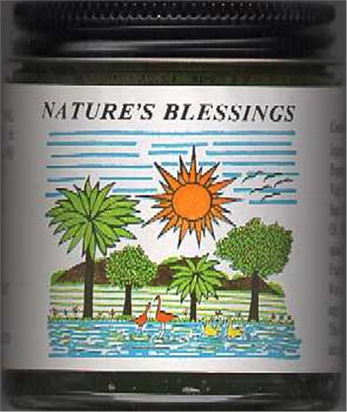Bulk Natures Blessings Hair Pomade (10 cases)