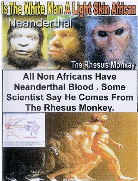 Is the White Man a Light Skin African ? DVD